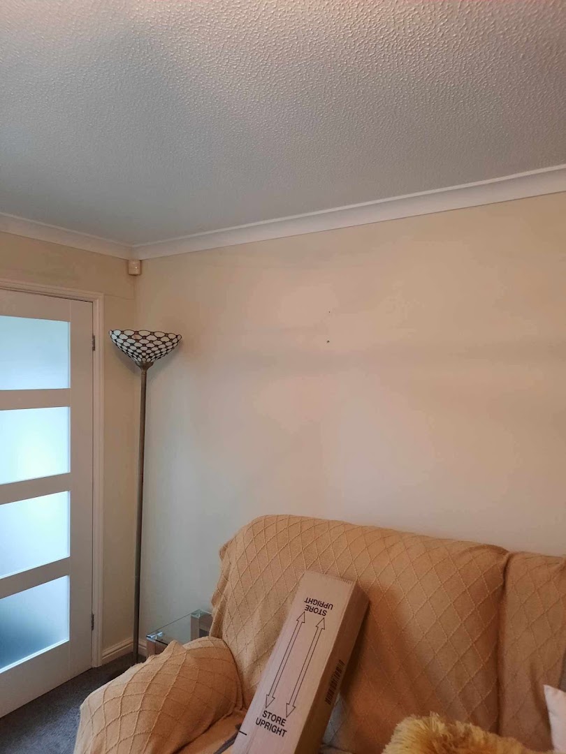 Paul Topps Painter and Decorator — Photos 13